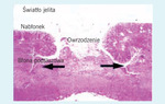 Small ryc 1 opt
