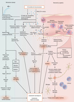 Small eyc 2 nejm opt