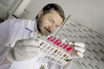 Small img 1180 opt
