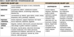 Small 6369