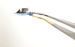 Small ryc 3 opt