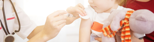 News gr2507
