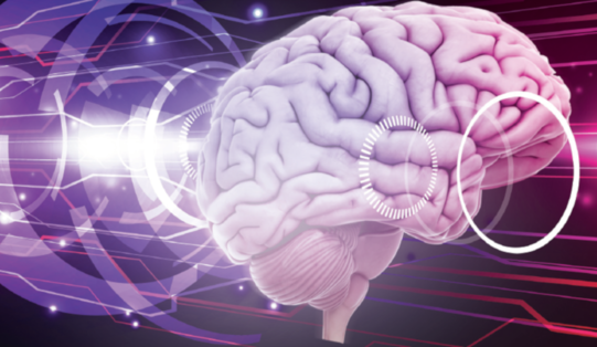 Neuro kv