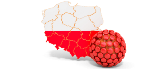 Projekt bez tytu%c5%82u%28161%29%281%29